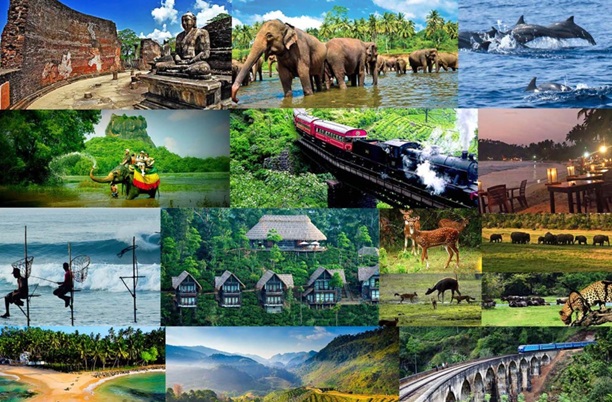 Ceylon Serenity From Hills to Heritage