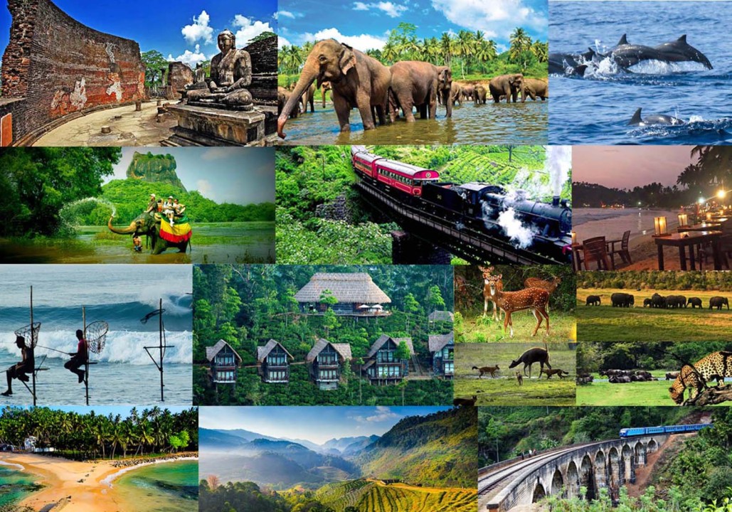 Ceylon Serenity From Hills to Heritage
