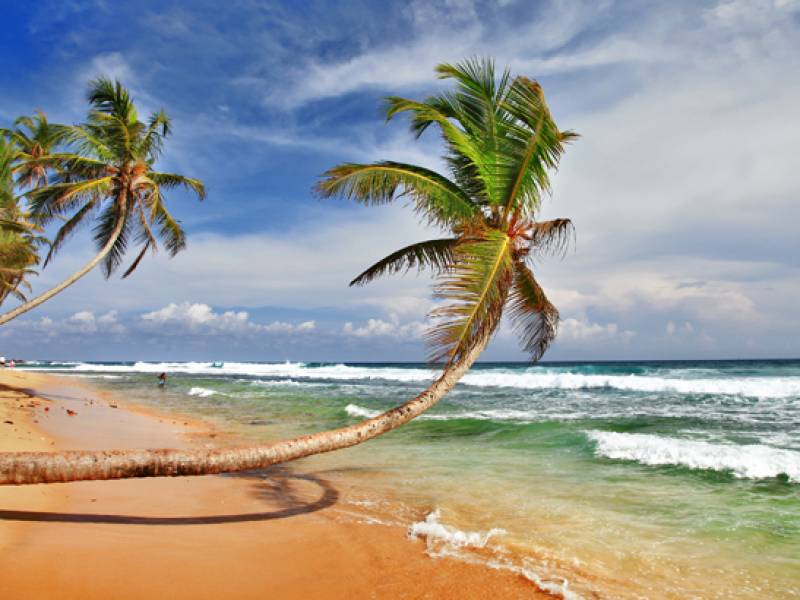 Tides of Sri Lanka Beach Bliss in 7 Days